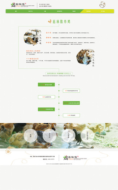 返林散養(yǎng)雞網(wǎng)頁設(shè)計效果圖