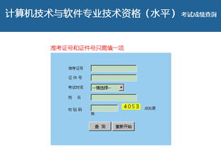 2016年上半年全國(guó)網(wǎng)絡(luò)工程師考試成績(jī)查詢(xún)指南